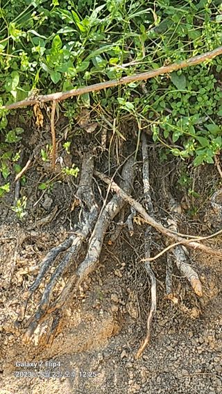 태화님의 우리동네 · 동네수다 작성글 사진