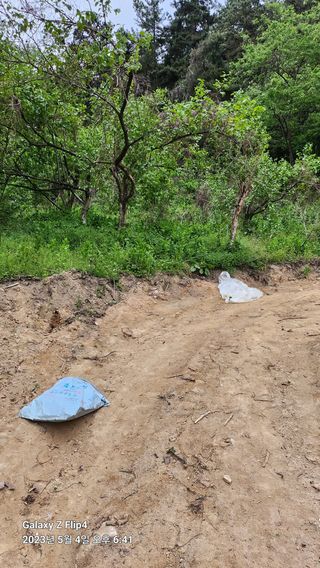 태화님의 우리동네 · 동네정보 작성글 사진