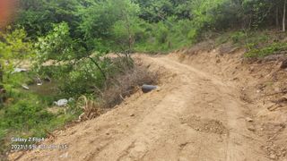 태화님의 우리동네 · 동네정보 작성글 사진