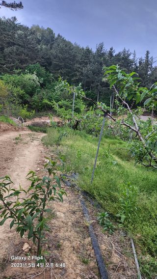 태화님의 우리동네 · 동네정보 작성글 사진