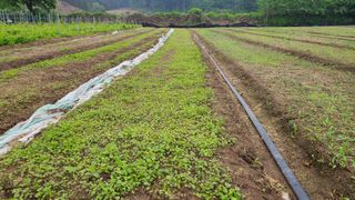 조병대님의 기타작물 · 자유게시판 작성글 사진