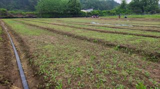 조병대님의 기타작물 · 자유게시판 작성글 사진