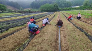 조병대님의 기타작물 · 자유게시판 작성글 사진