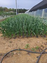 팜모닝 자유주제·사진전 게시글 이미지