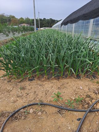 홍순원님의 자유주제 · 사진전 작성글 사진