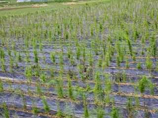 이창신님의 기타작물 · 자유게시판 작성글 사진