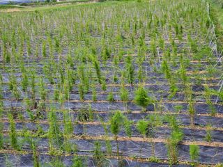 이창신님의 기타작물 · 자유게시판 작성글 사진