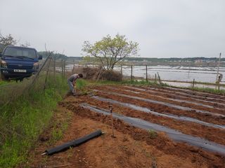 서도면 주문도대빈창님의 자유주제 · 사진전 작성글 사진