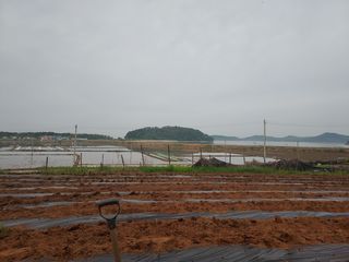 서도면 주문도대빈창님의 자유주제 · 사진전 작성글 사진