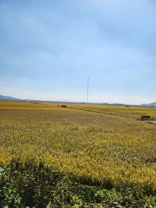 알 수 없음님의 자유주제 · 사진전 작성글 사진