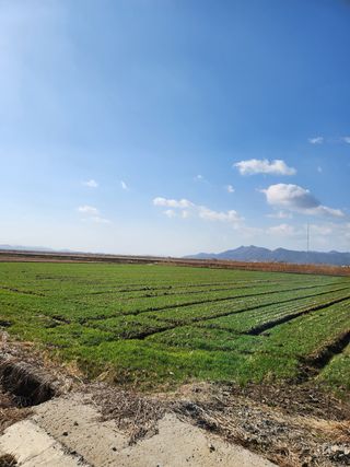 알 수 없음님의 자유주제 · 사진전 작성글 사진