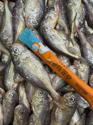 목포 물좋은수산님의 작성글 사진