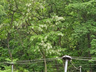 모란님의 자유주제 · 사진전 작성글 사진