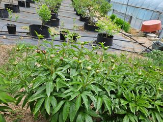 모란님의 자유주제 · 사진전 작성글 사진