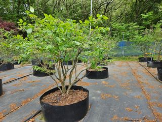 모란님의 자유주제 · 사진전 작성글 사진