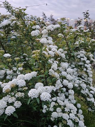 모란님의 자유주제 · 사진전 작성글 사진