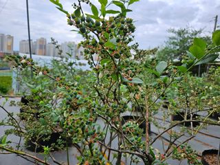 모란님의 자유주제 · 사진전 작성글 사진