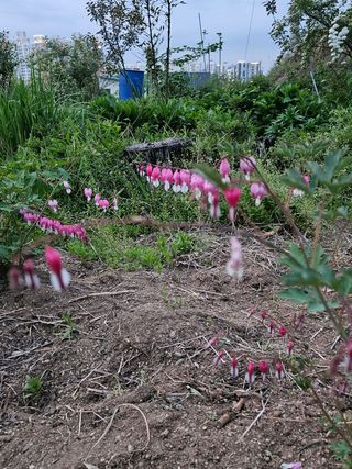 모란님의 자유주제 · 사진전 작성글 사진