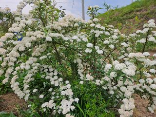 모란님의 자유주제 · 사진전 작성글 사진