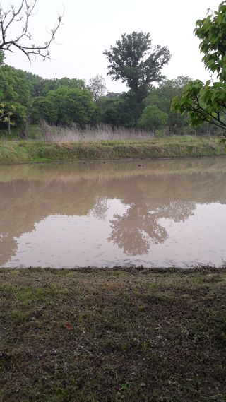 안복순님의 우리동네 · 동네수다 작성글 사진