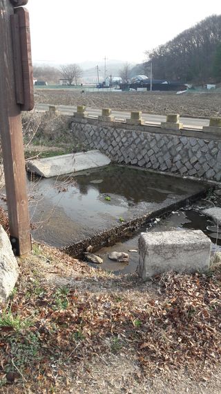 안복순님의 우리동네 · 동네수다 작성글 사진