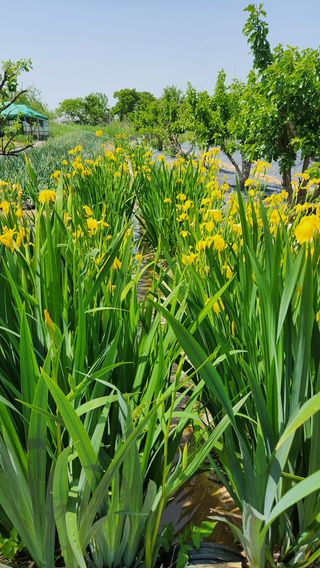 전주치유농정명숙님의 자유주제 · 사진전 작성글 사진