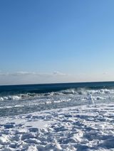 팜모닝 자유주제·사진전 게시글 이미지