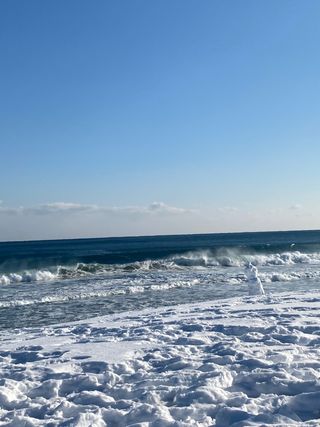 옥순님의 자유주제 · 사진전 작성글 사진