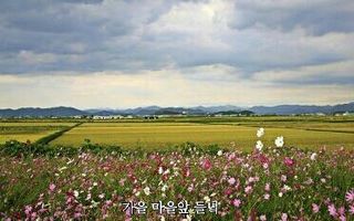 김용호님의 자유주제 · 사진전 작성글 사진