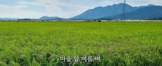 김용호님의 자유주제 · 사진전 작성글 사진