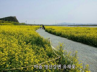 김용호님의 자유주제 · 사진전 작성글 사진