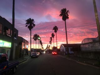 알 수 없음님의 자유주제 · 사진전 작성글 사진