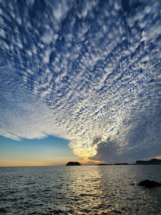알 수 없음님의 자유주제 · 사진전 작성글 사진