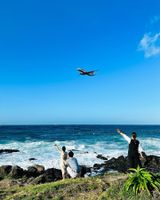 팜모닝 자유주제·사진전 게시글 이미지