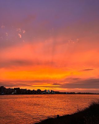 유승훈님의 자유주제 · 사진전 작성글 사진