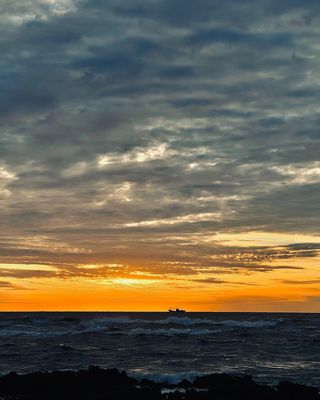 유승훈님의 자유주제 · 사진전 작성글 사진