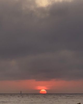 유승훈님의 자유주제 · 사진전 작성글 사진