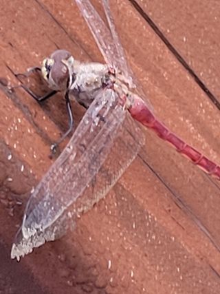 박종이님의 우리동네 · 동네자랑 작성글 사진