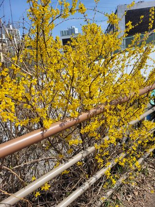 박종이님의 우리동네 · 동네자랑 작성글 사진