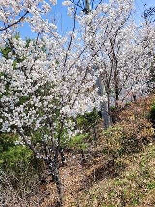 박종이님의 우리동네 · 동네자랑 작성글 사진