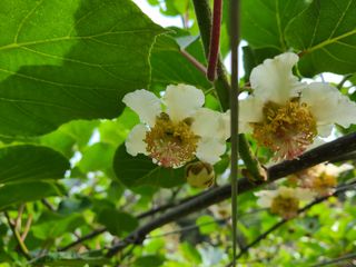 노고단님의 기타작물 · 자유게시판 작성글 사진