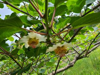 노고단님의 기타작물 · 자유게시판 작성글 사진