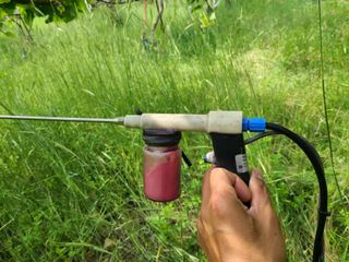 노고단님의 기타작물 · 자유게시판 작성글 사진