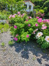 팜모닝 자유주제·사진전 게시글 이미지