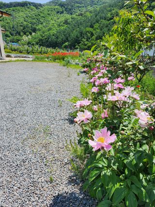 충주gomtenge님의 자유주제 · 사진전 작성글 사진