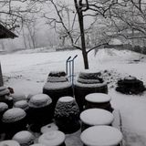 팜모닝 자유주제·사진전 게시글 이미지