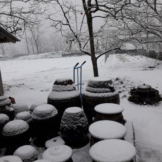 성명제님의 자유주제 · 사진전 작성글 사진