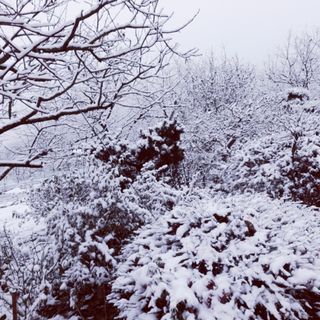 성명제님의 자유주제 · 사진전 작성글 사진