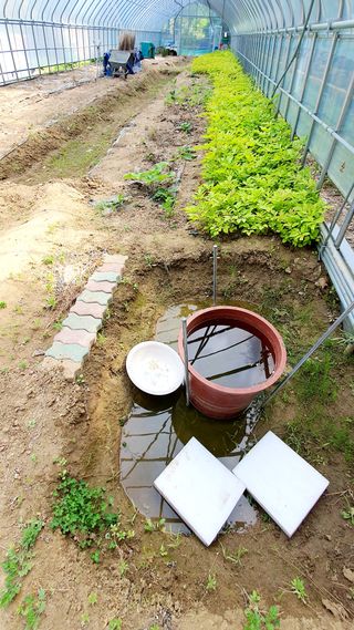 박¿일님의 자유주제 · 사진전 작성글 사진