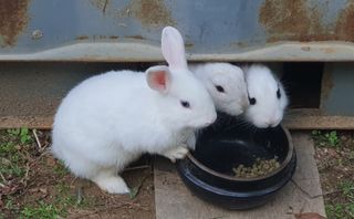 박¿일님의 자유주제 · 사진전 작성글 사진